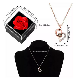 Rosa Eterna y Collar "Te Amo" en 100 idiomas